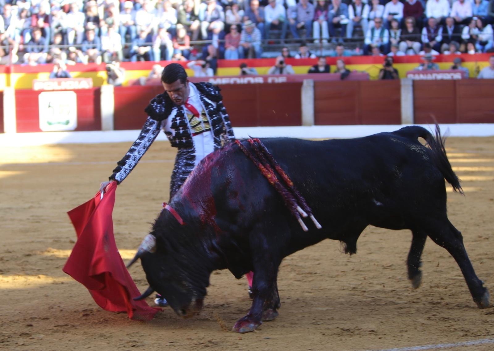 2578e566 b978 4fe3 ba4a 0c7cbae69f84