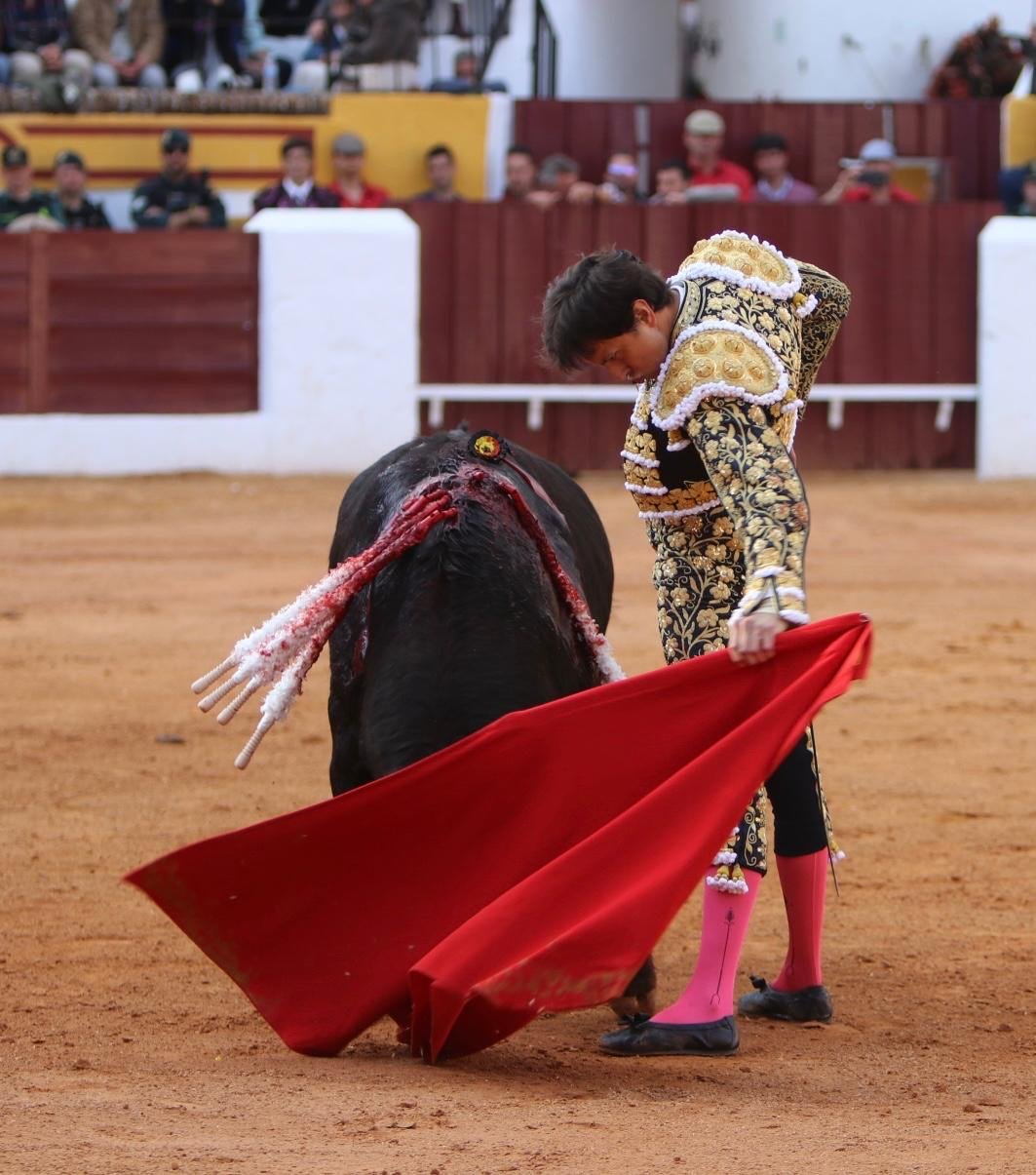 2615461f a0a9 40e9 9b34 1a62b904d6c4 1