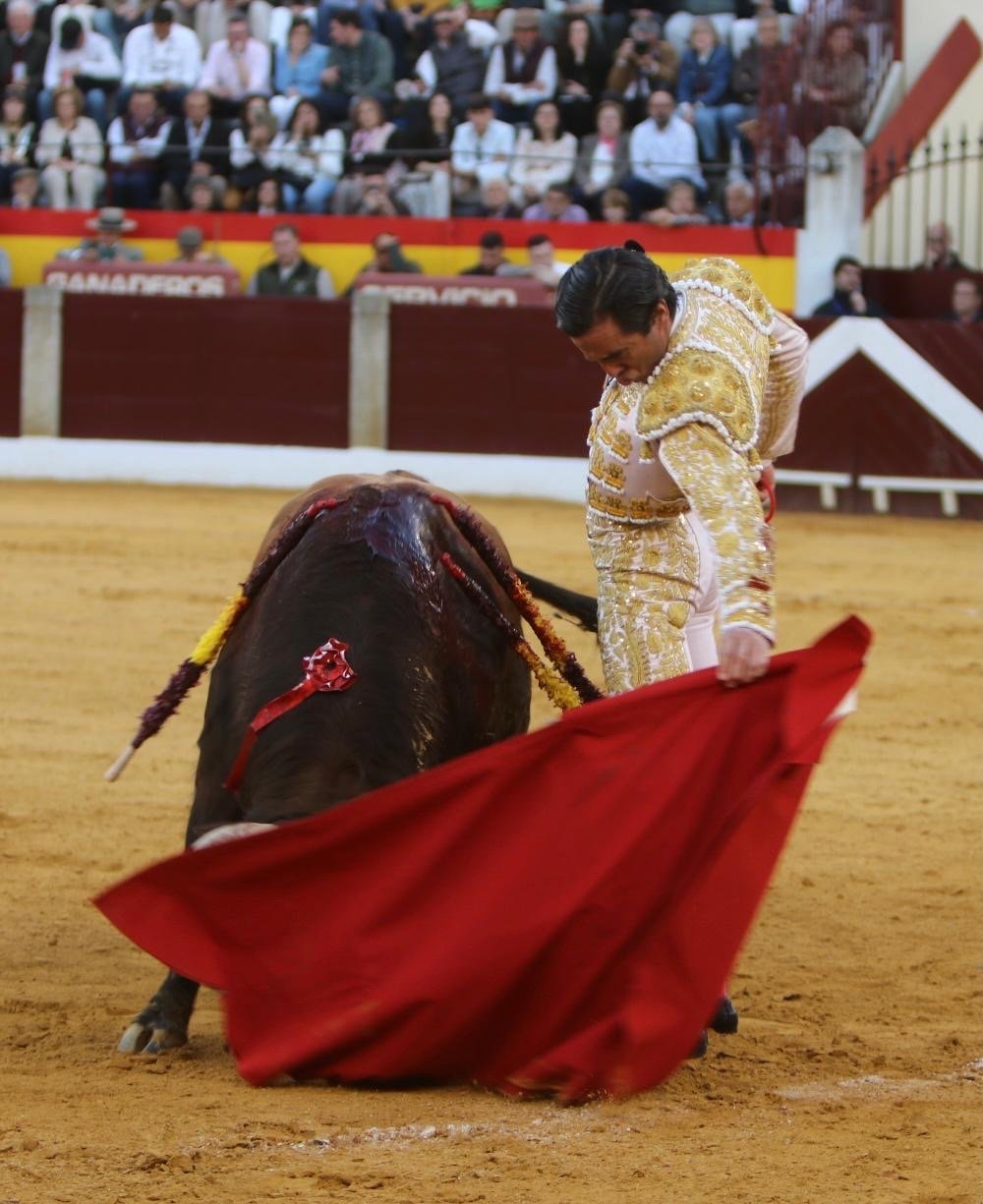 267a8ae4 a165 444e a2af 60ba80aacead