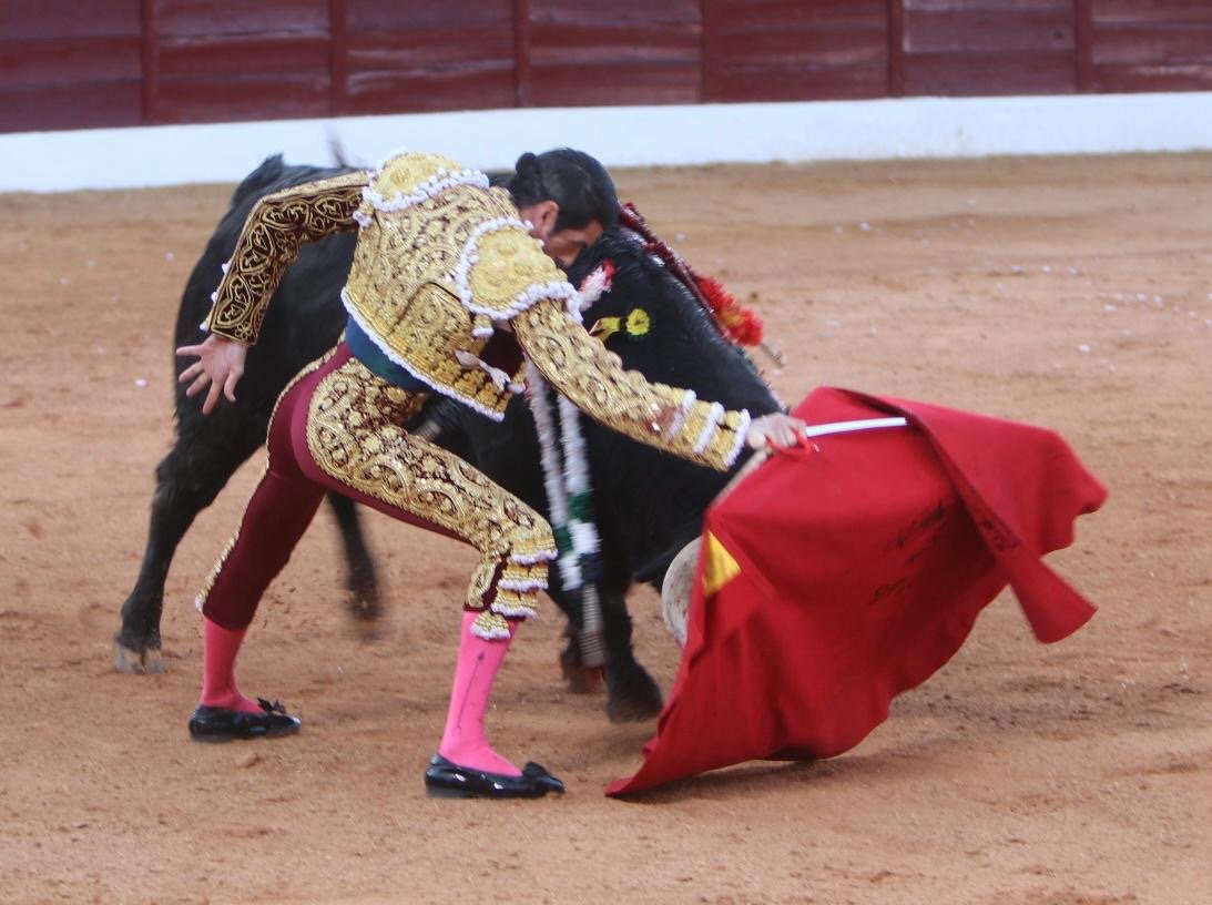 2d3cf493 ad2c 443f 83f9 4c85d7edd061 1