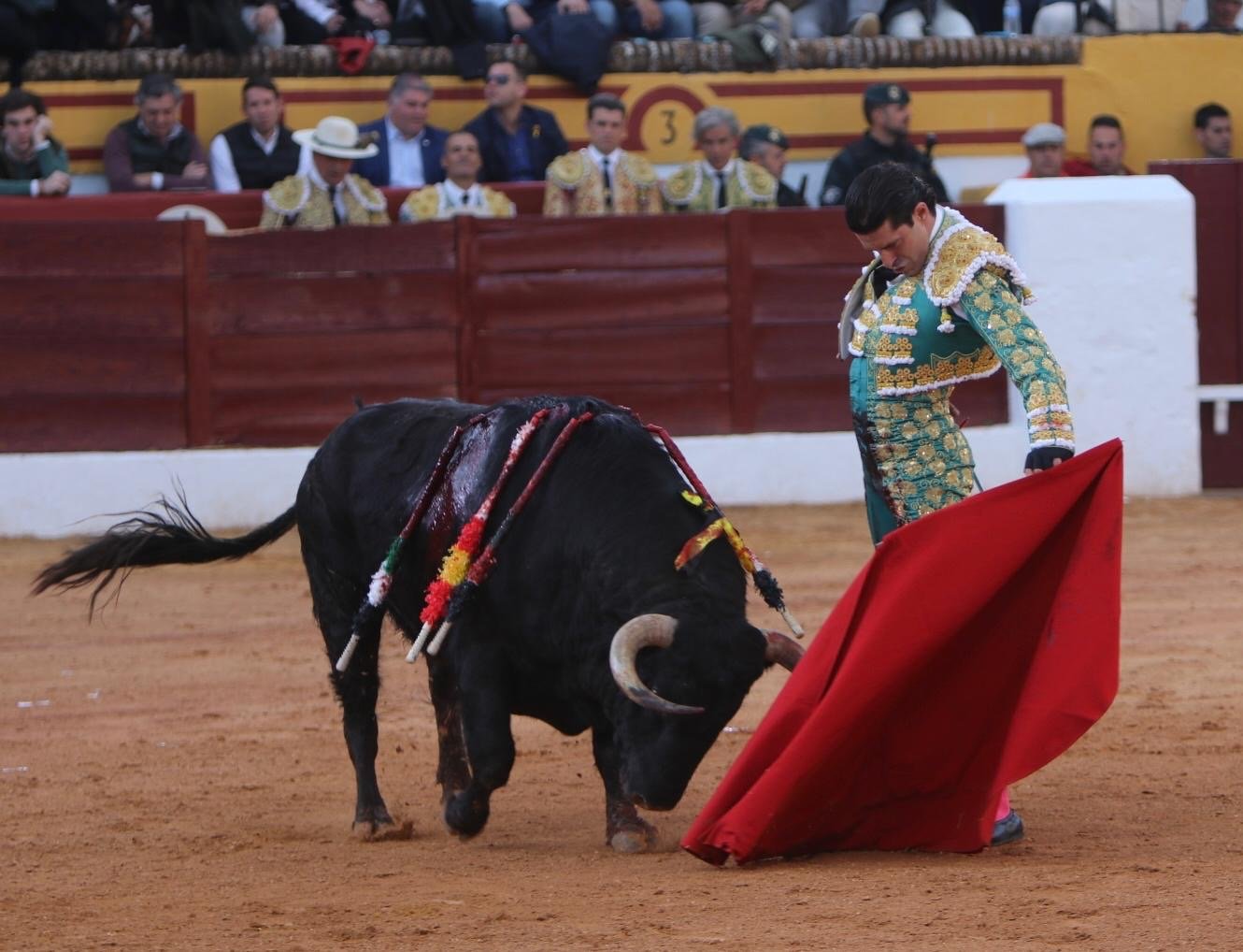 2e09d8ee 0123 4322 b9d3 d516fb186019 1