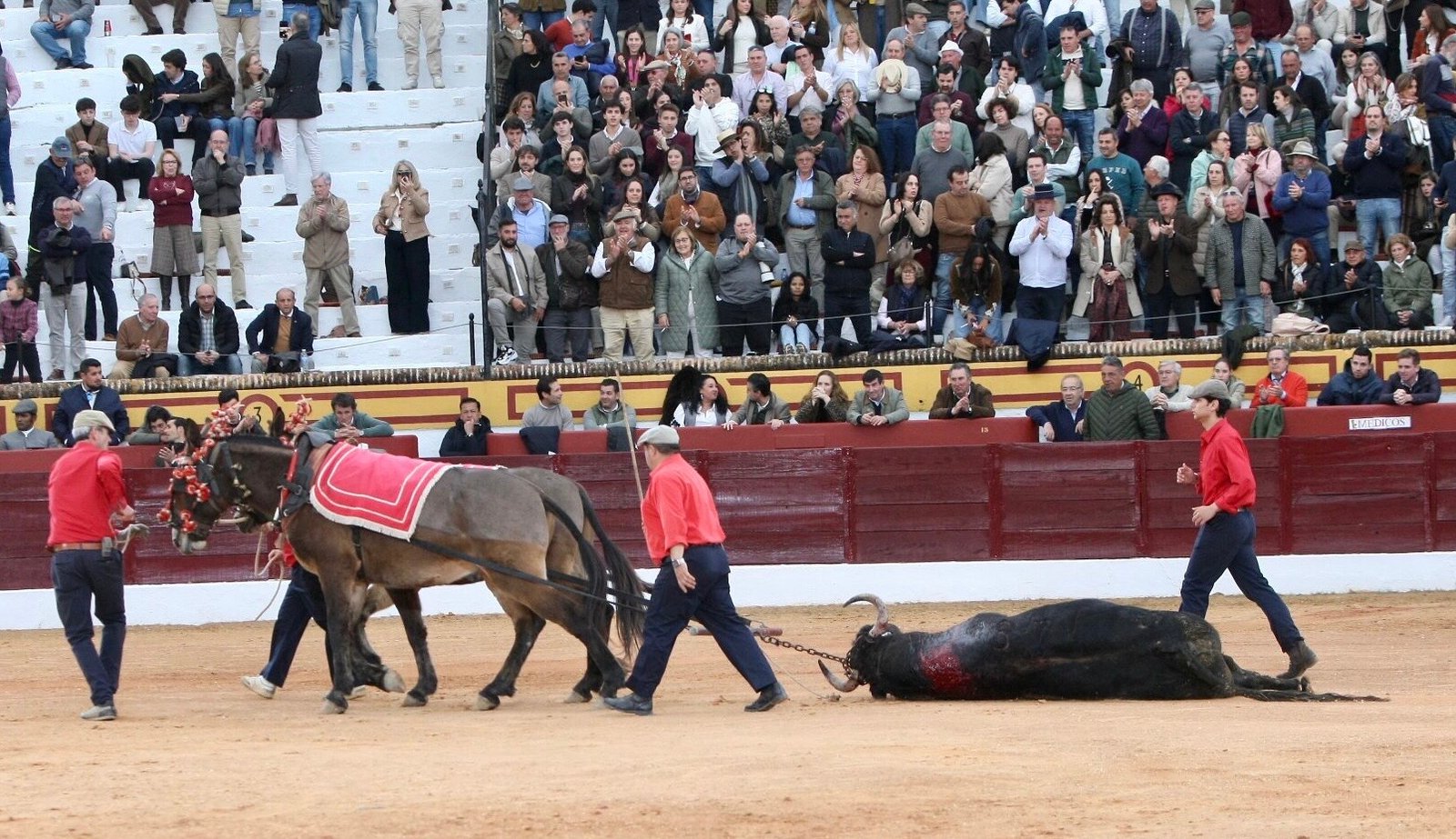 37c9f152 fa48 44fb a196 341a65d9d300