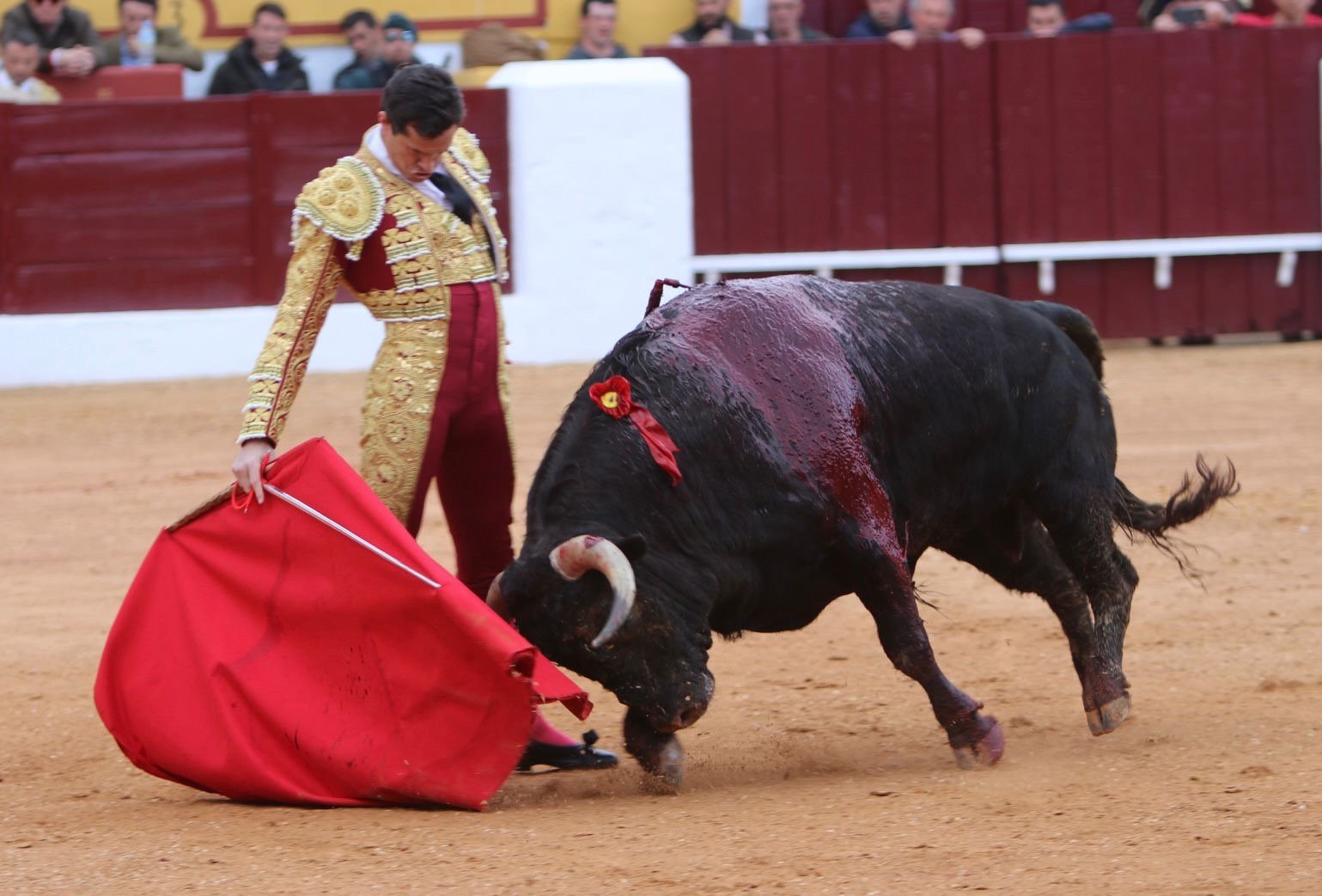 40de0490 86f5 4991 83b8 21186cc15373