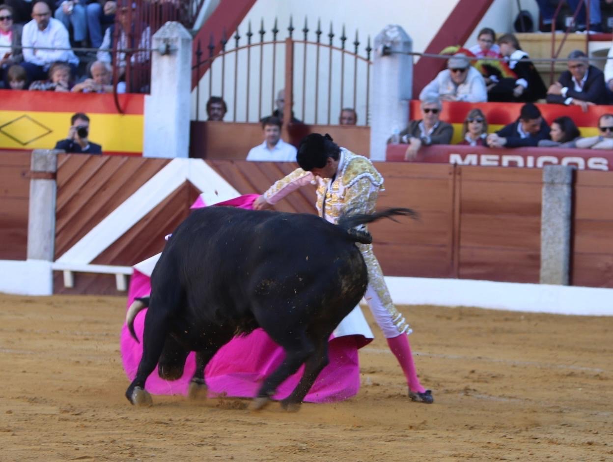 43cc5578 8c61 4e16 9eb9 e22802b01d6b