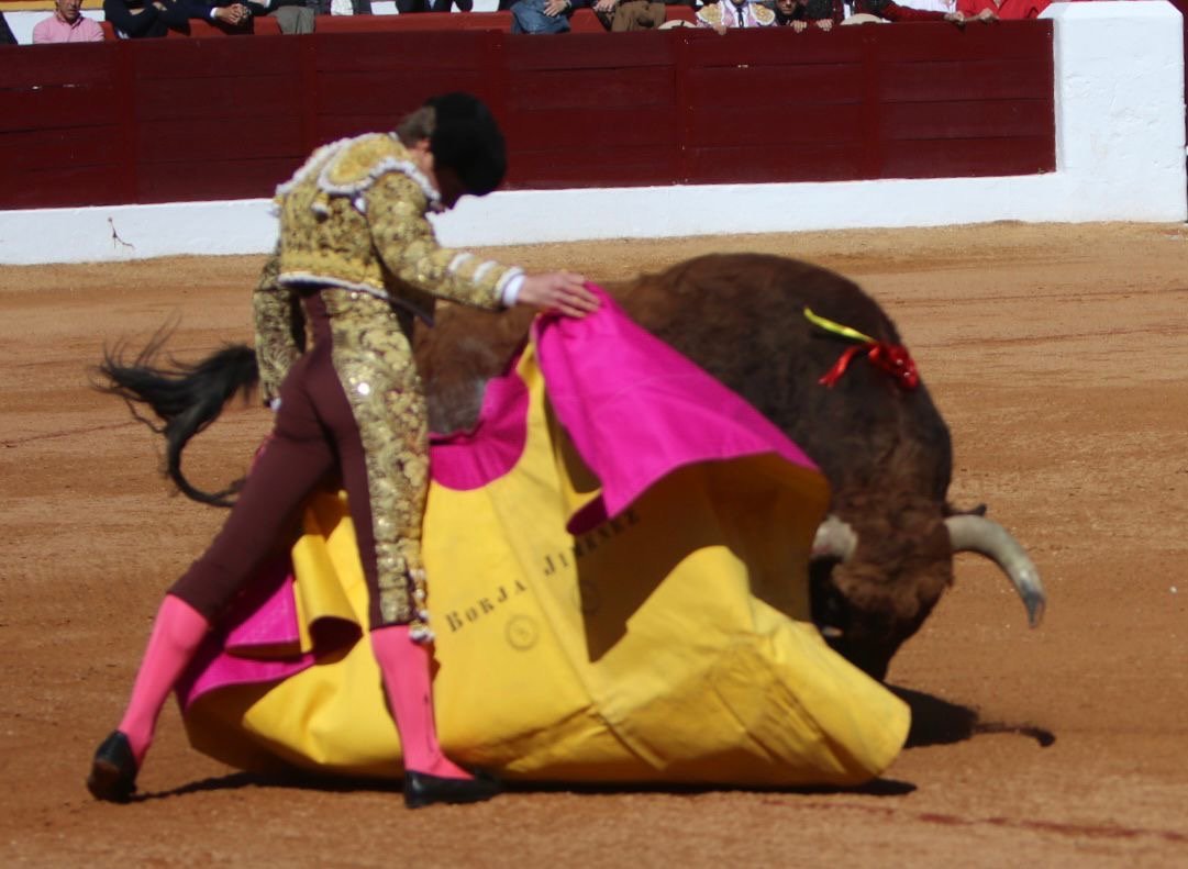 4cc52c71 b9b4 4e42 b7d0 cbcf99621f16