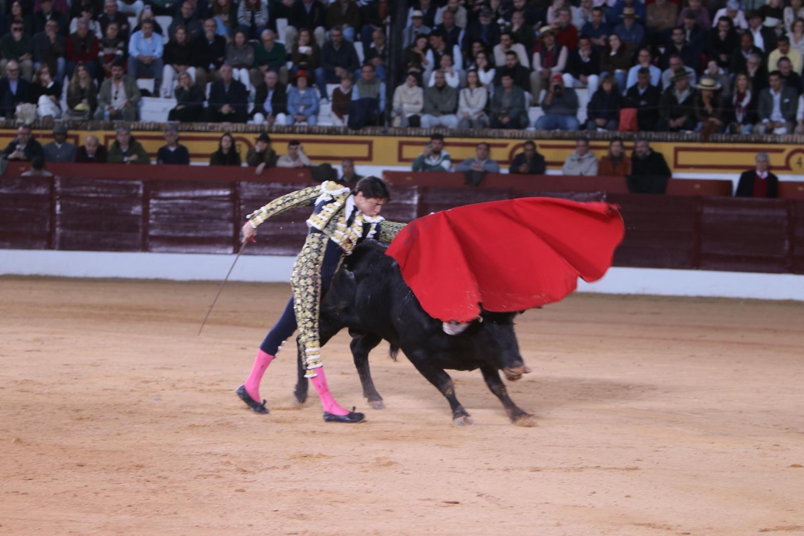 4d0e6a7c 873d 4bfd aa50 ed7b34de0cd3 1