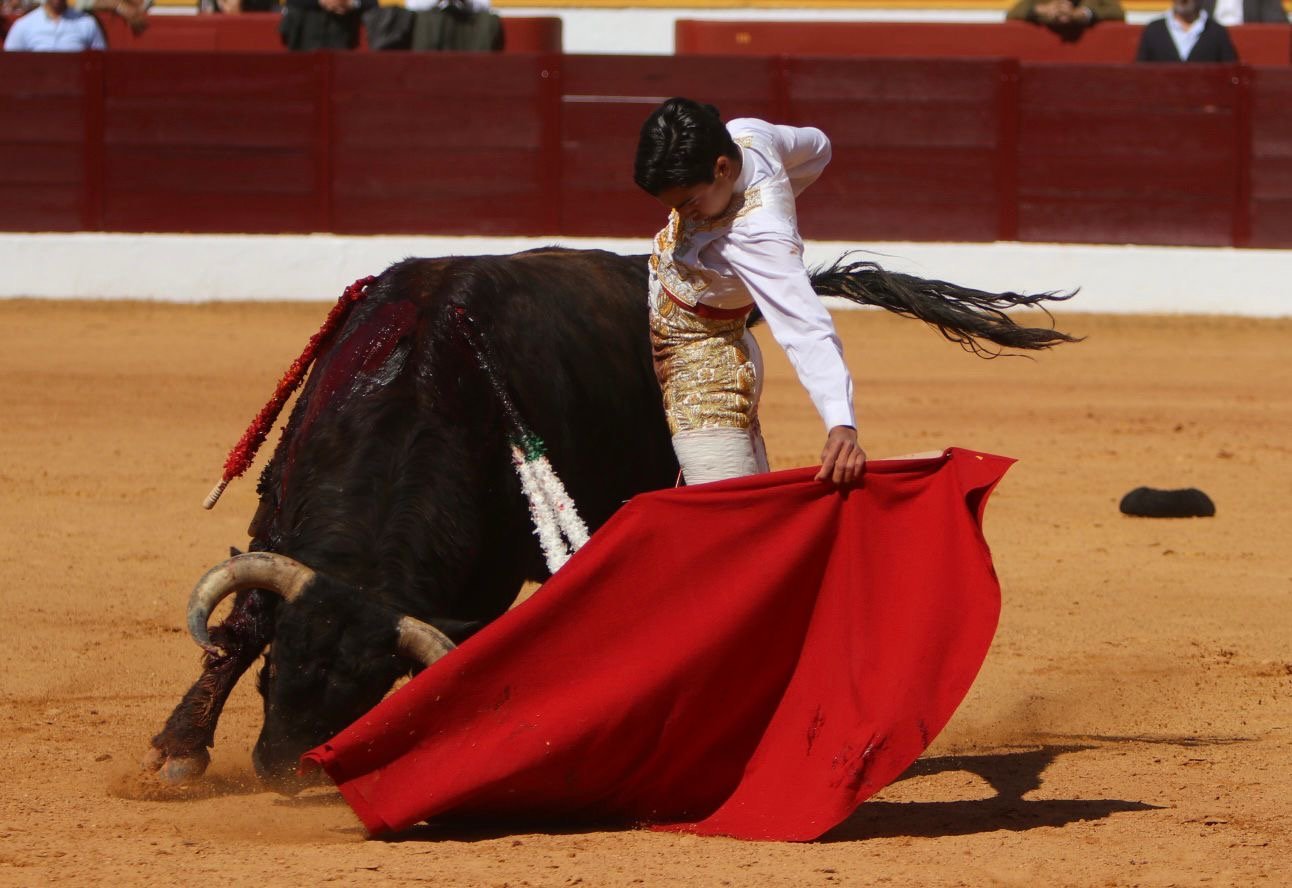 5071adf6 6f31 484a 8fdb 3a68a98132c9