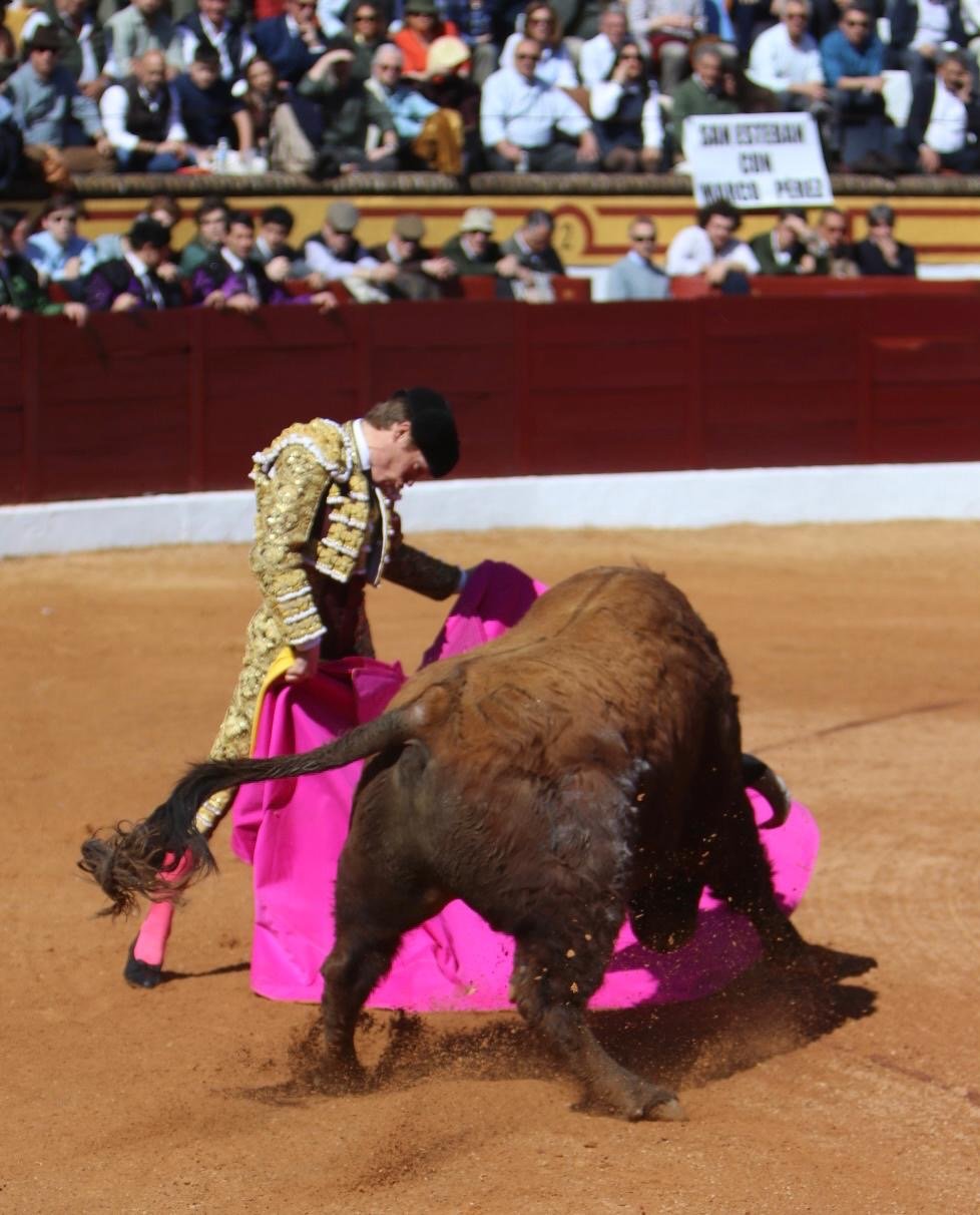 54113911 aa5f 48e6 8585 fcc5475cdd89