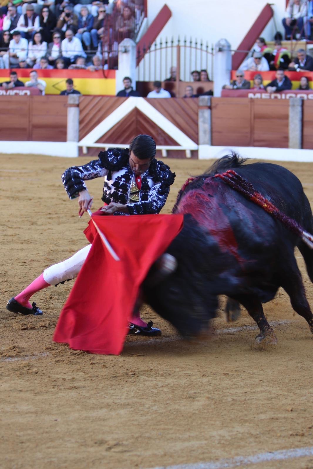 57e7e1f2 3924 4953 90cb a8313fa303ed