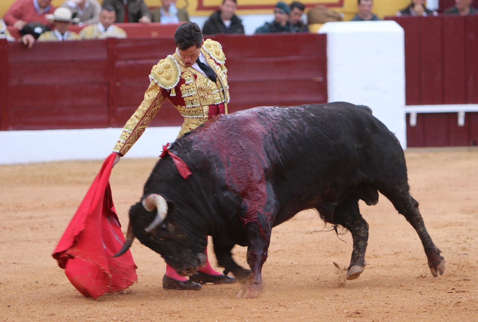 59b13f8b 7ccc 41cd a737 5a096970a55c