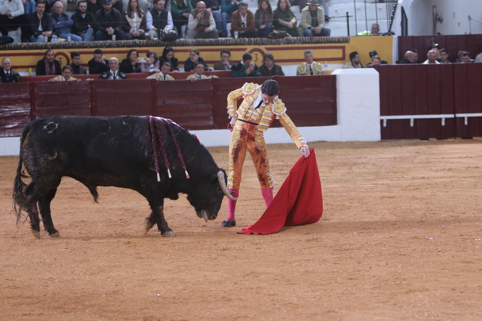 5a6d58da 3505 4fd3 aecd 029d54bcb499