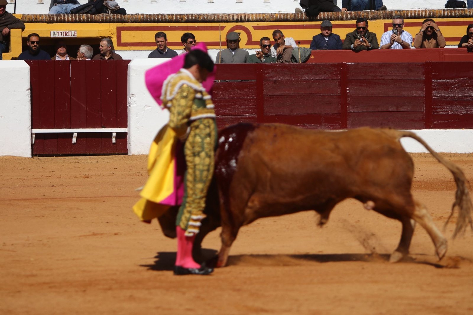 5b8f268d cee3 4ed7 8fd8 8e595e2c13a3