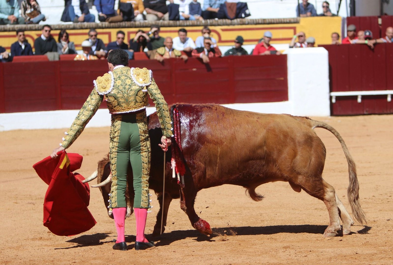 5c300716 4cd2 494d a7b3 7b6088cee24b