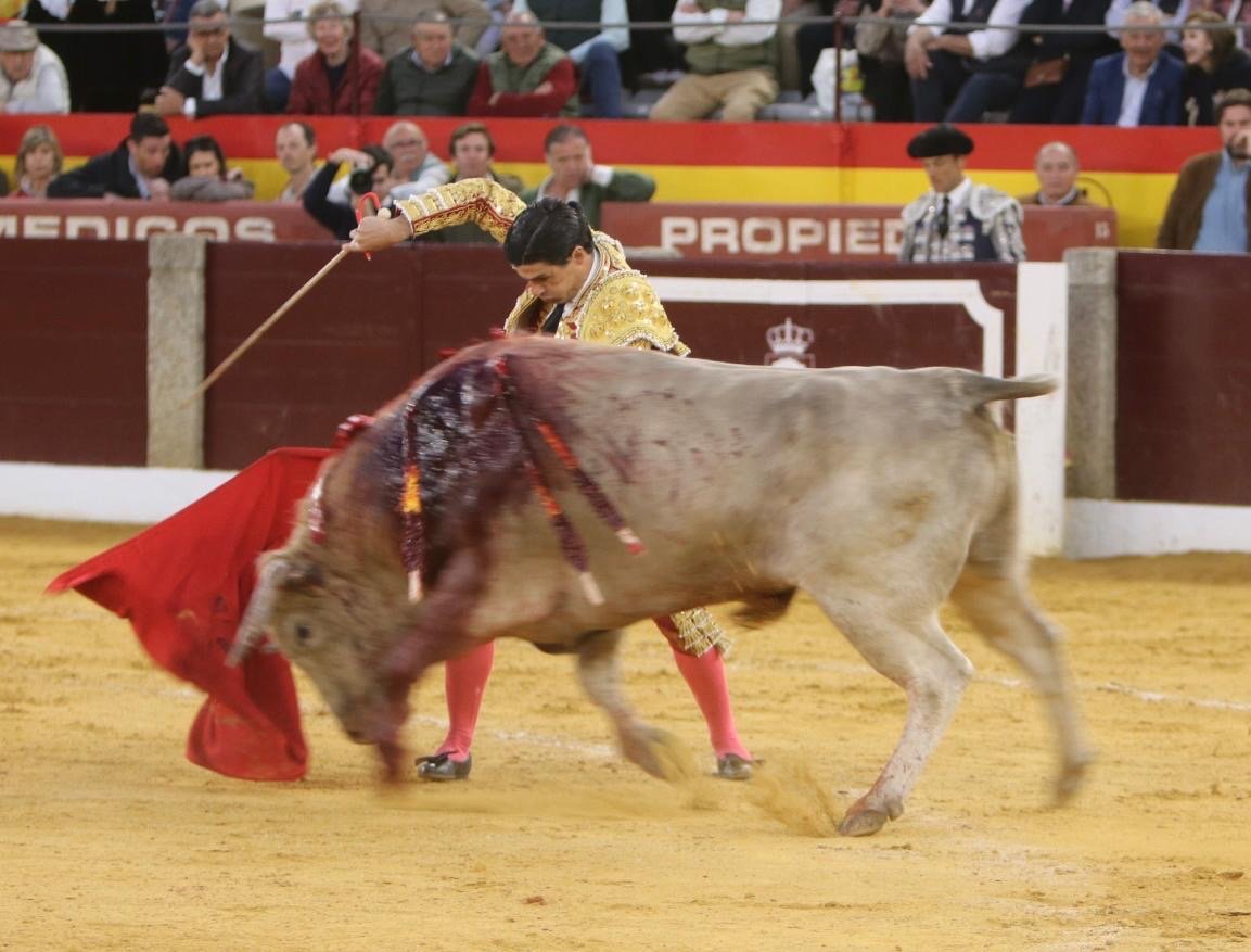 61bb26e8 066c 4073 b5e9 9528cd7cf567