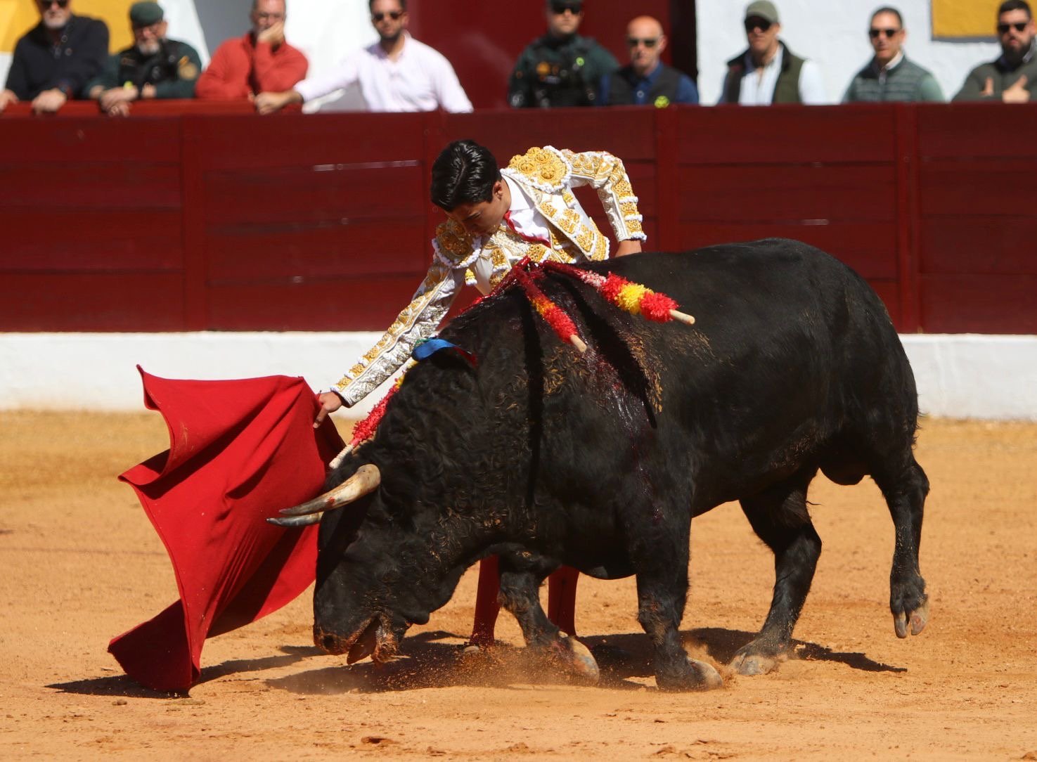 65d1bf88 889a 44d2 addc 5194472bfd1e