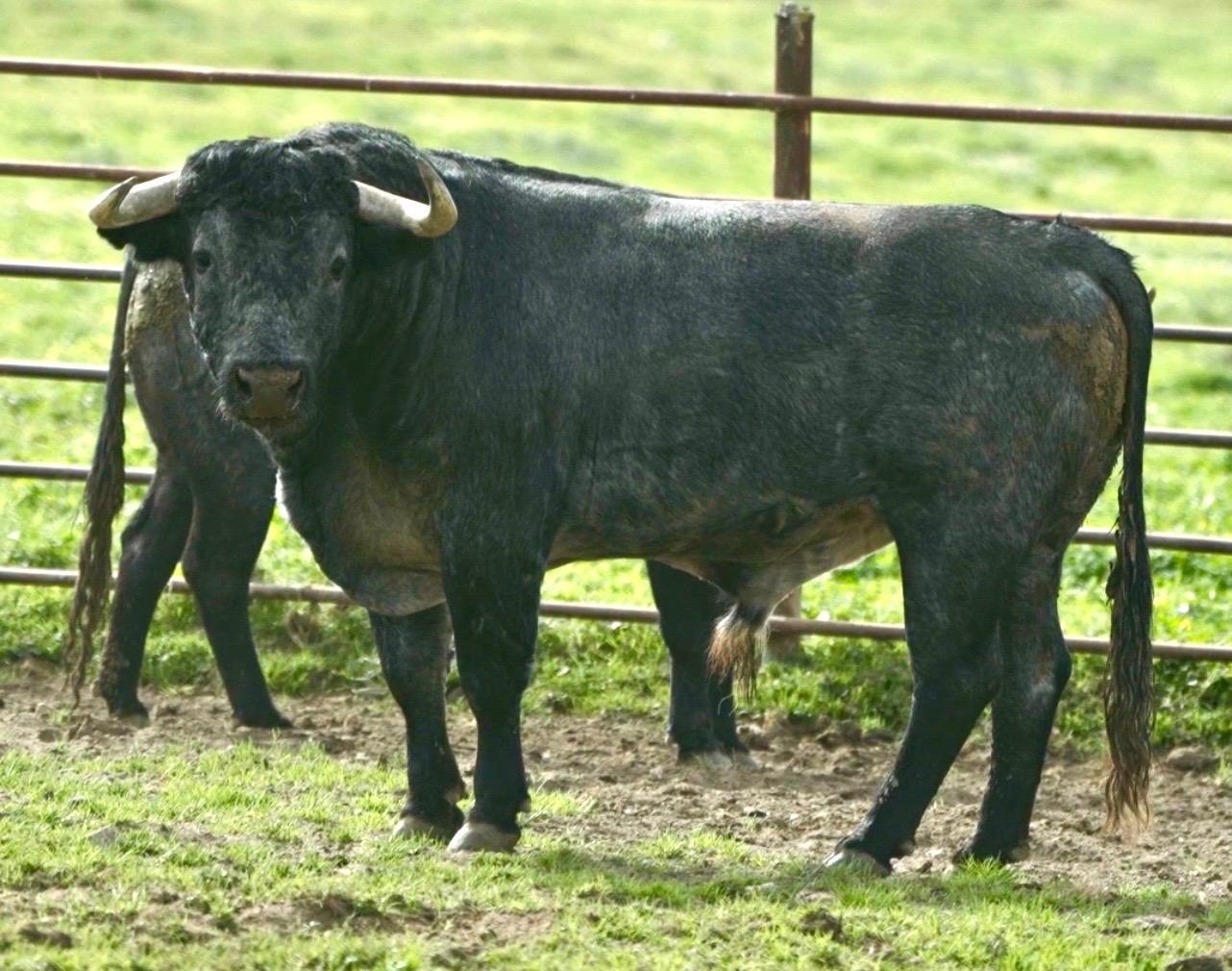 6a64538d 5e35 24fc b988 866d0dc3ea60