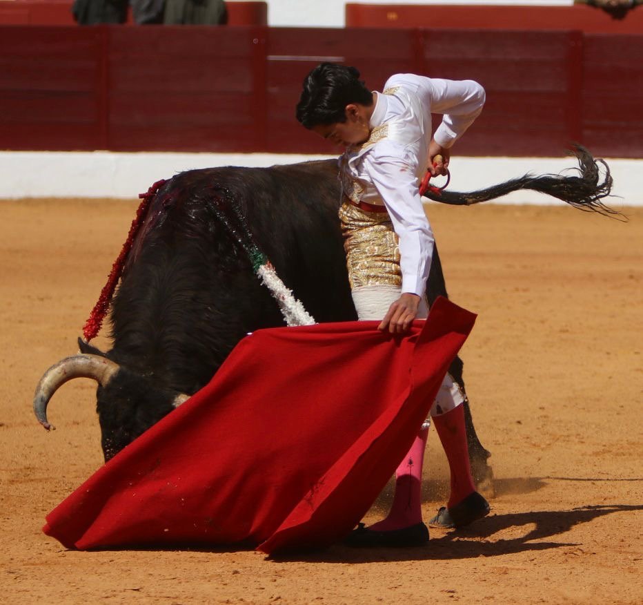 6bb7e326 e9da 45fe 97f2 0e13b2613482