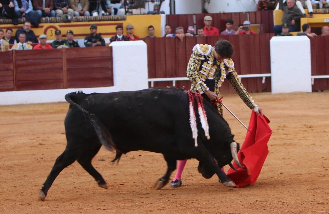 6e115052 5a62 4a7a bbd4 6f2e783d5450 1