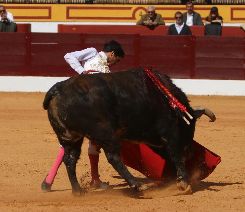 7069dfe3 f001 4bfb 9d4b d23fd8b3370d