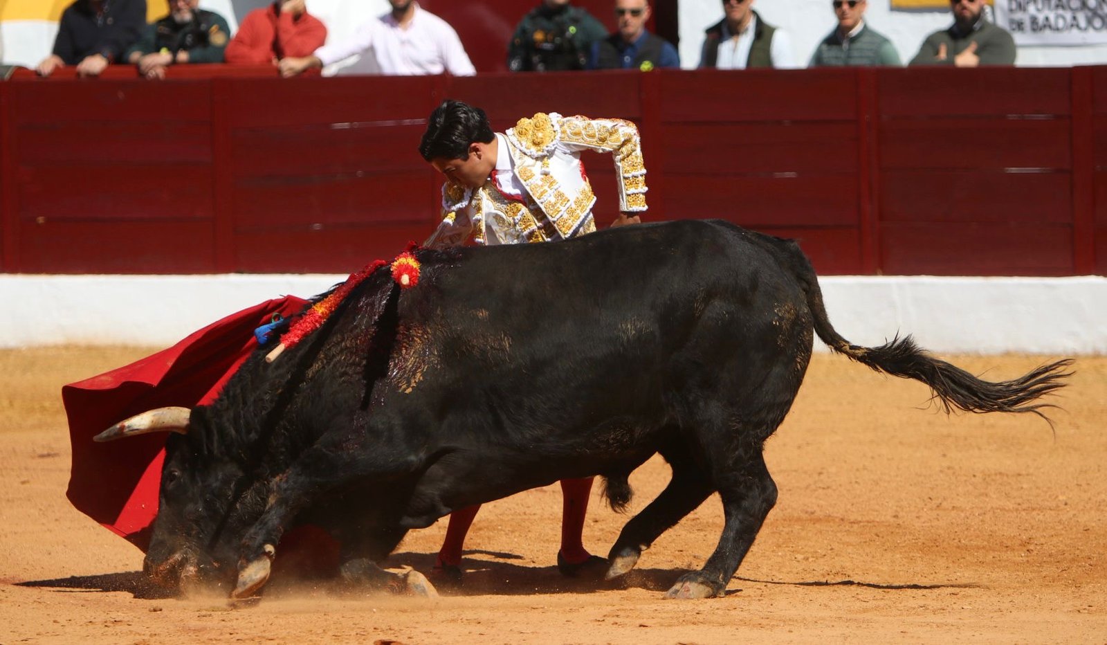 711f8b48 90c0 452e 9cc5 e3f1669a290a