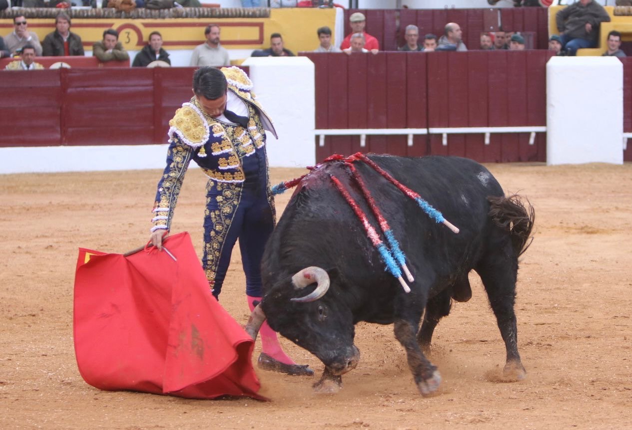 714b5300 9cf6 4d54 84e8 c86ce8e63c28