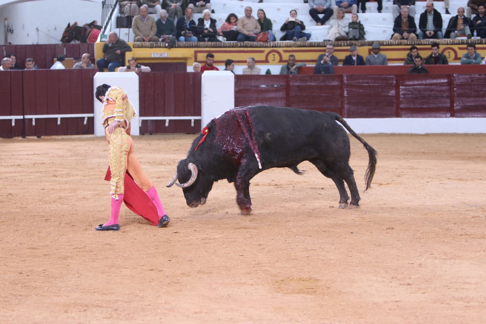 725e1712 387d 40a9 9937 a9a21849b5cc