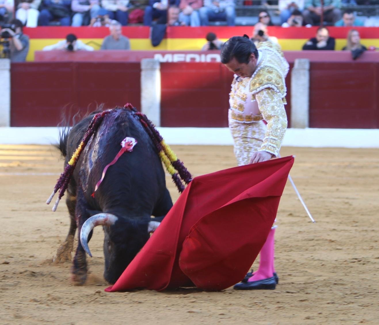 75f797ba a95d 4e7b 9d7d ad4a4dcb0dd3