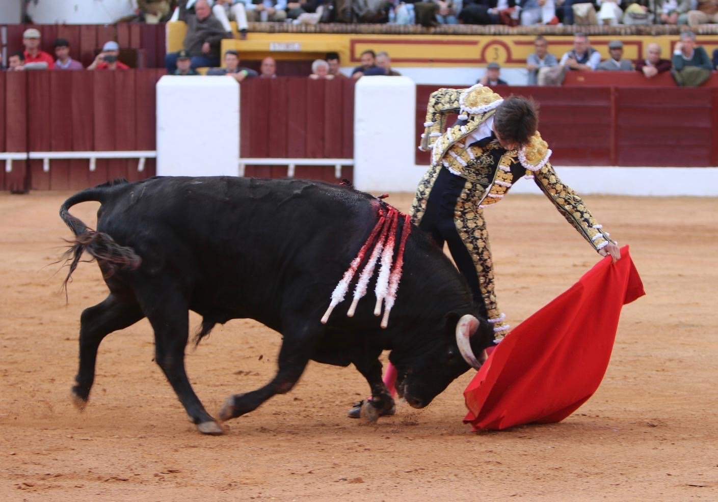 76364f9d 38b4 4b21 a597 bf9c0b3bbe9f 1