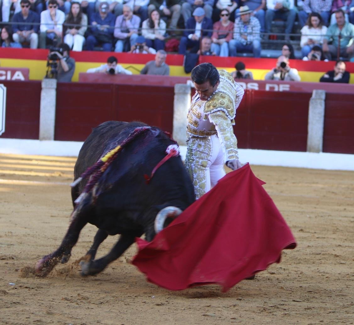 77aaf54c 408a 487a b6e5 ab4caae6c31d