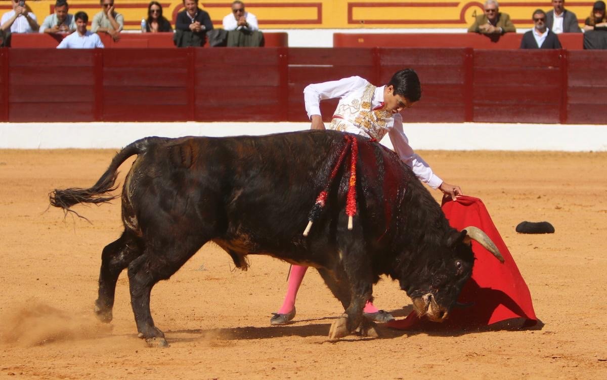 7cce3857 9923 49a4 a388 abce3b277677