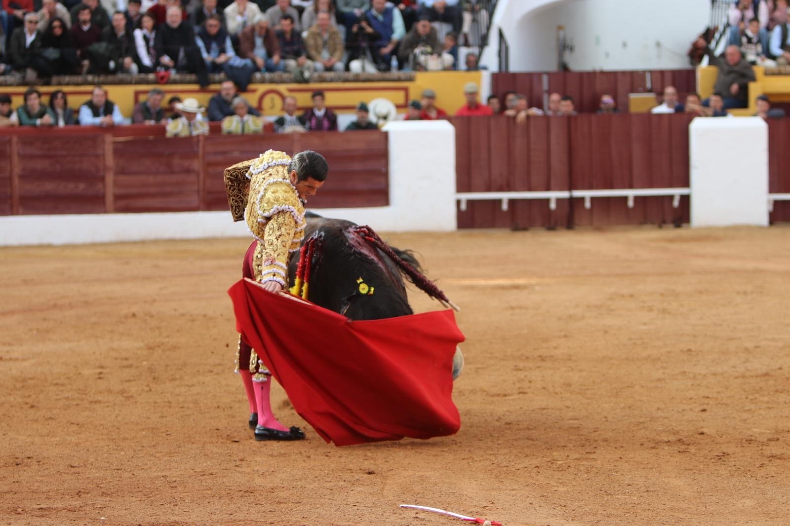 81076bff 7b14 4802 a269 cecd32f5729c 1