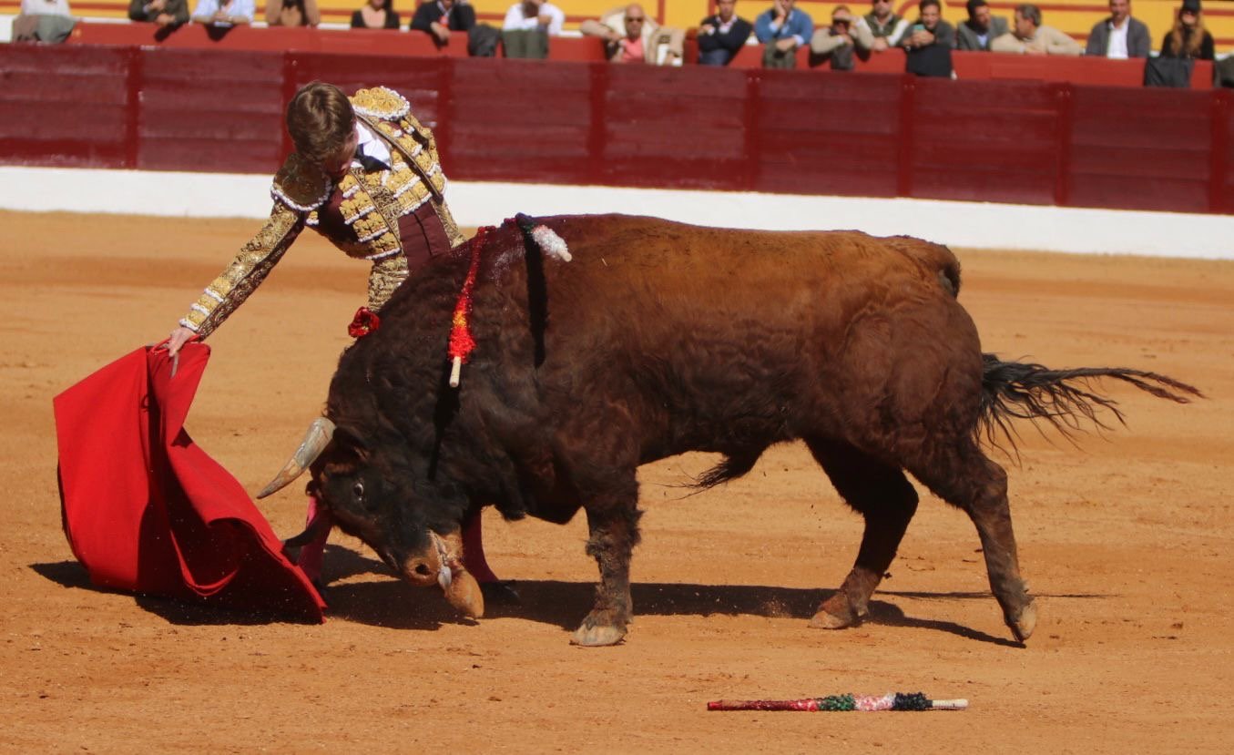 868fac97 f6f4 4cce 93b9 7771f93657ae