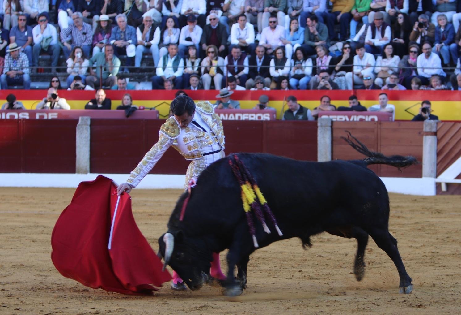 877c6962 62f1 417d 9c8a d5e333e120e3