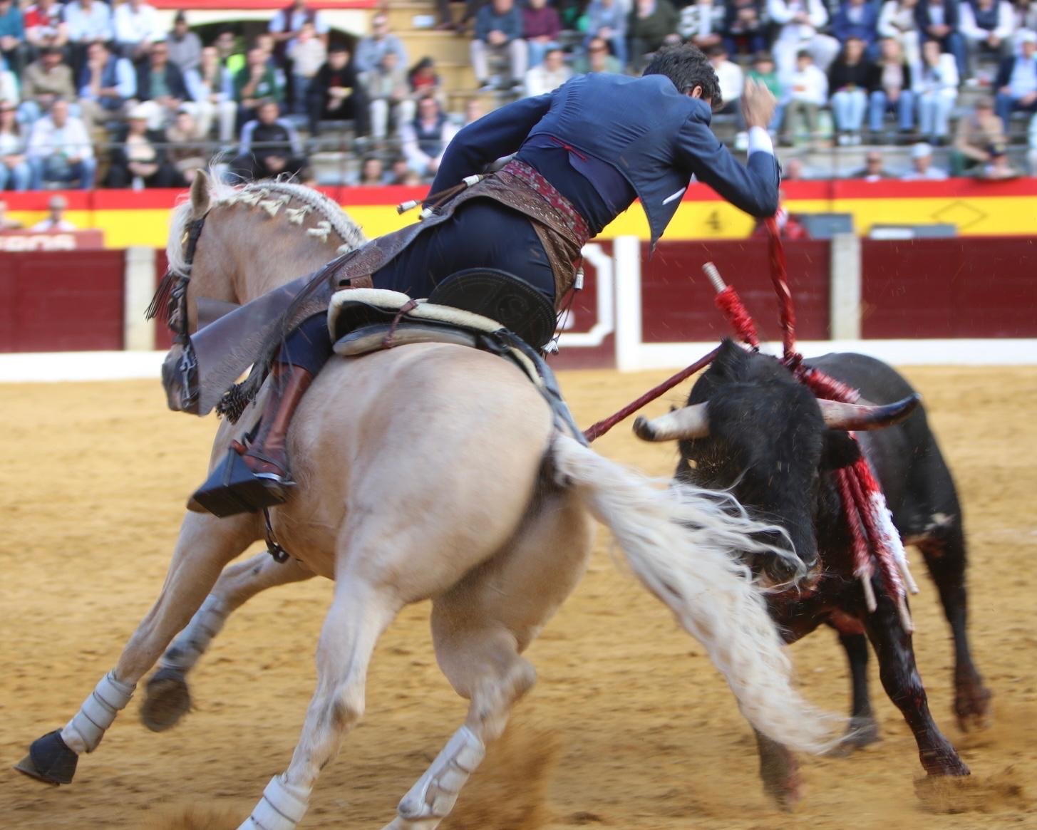 87d96239 8d35 4cff a382 e37128ccaa25