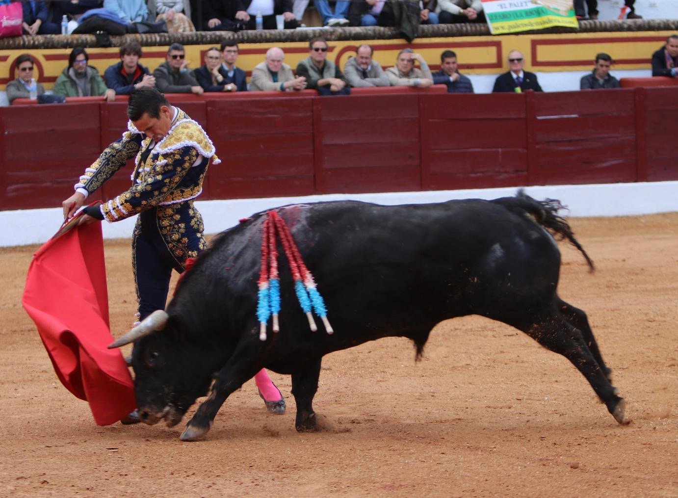 8b902cca e04d 4b93 8e5a 491415553ec0