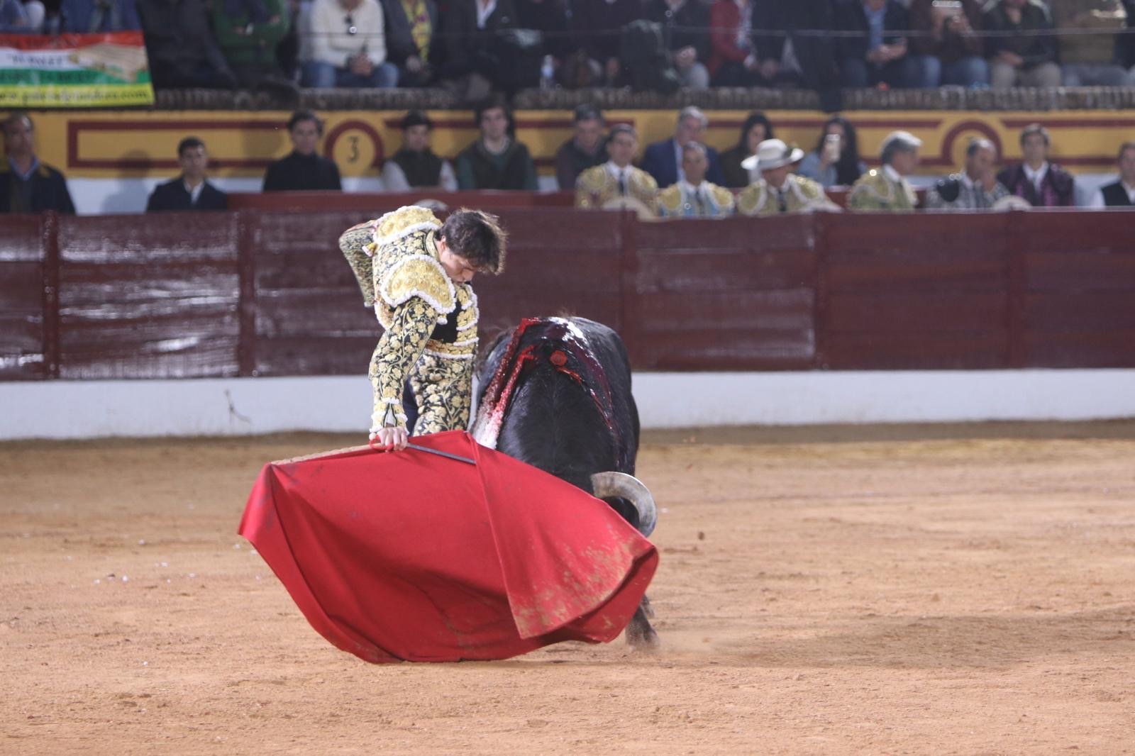 8d1d3ff8 e83f 48c0 81da 19c6c5e1a33d 1