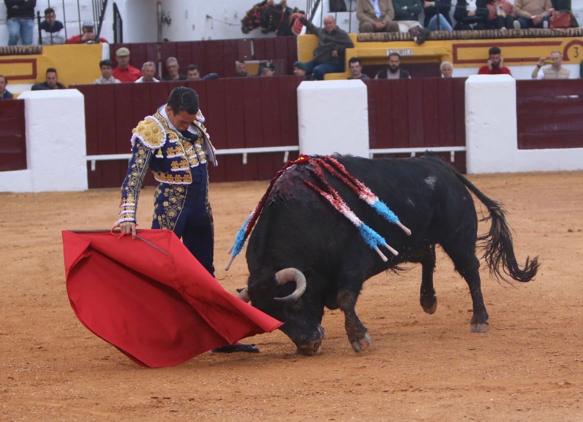 8d95c0cc 8a05 4874 9b4f 5af0355d8539