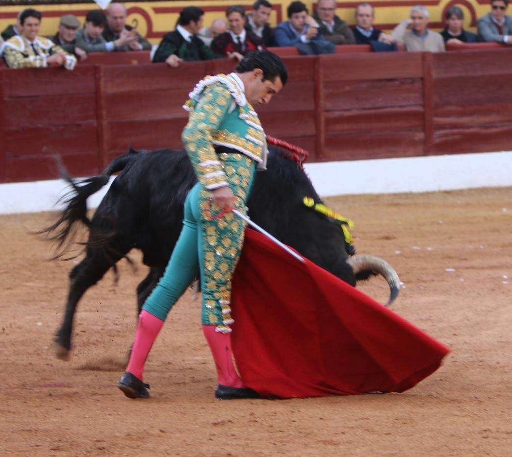 8e194874 53b9 40c9 a8c4 0a28774ec163 1