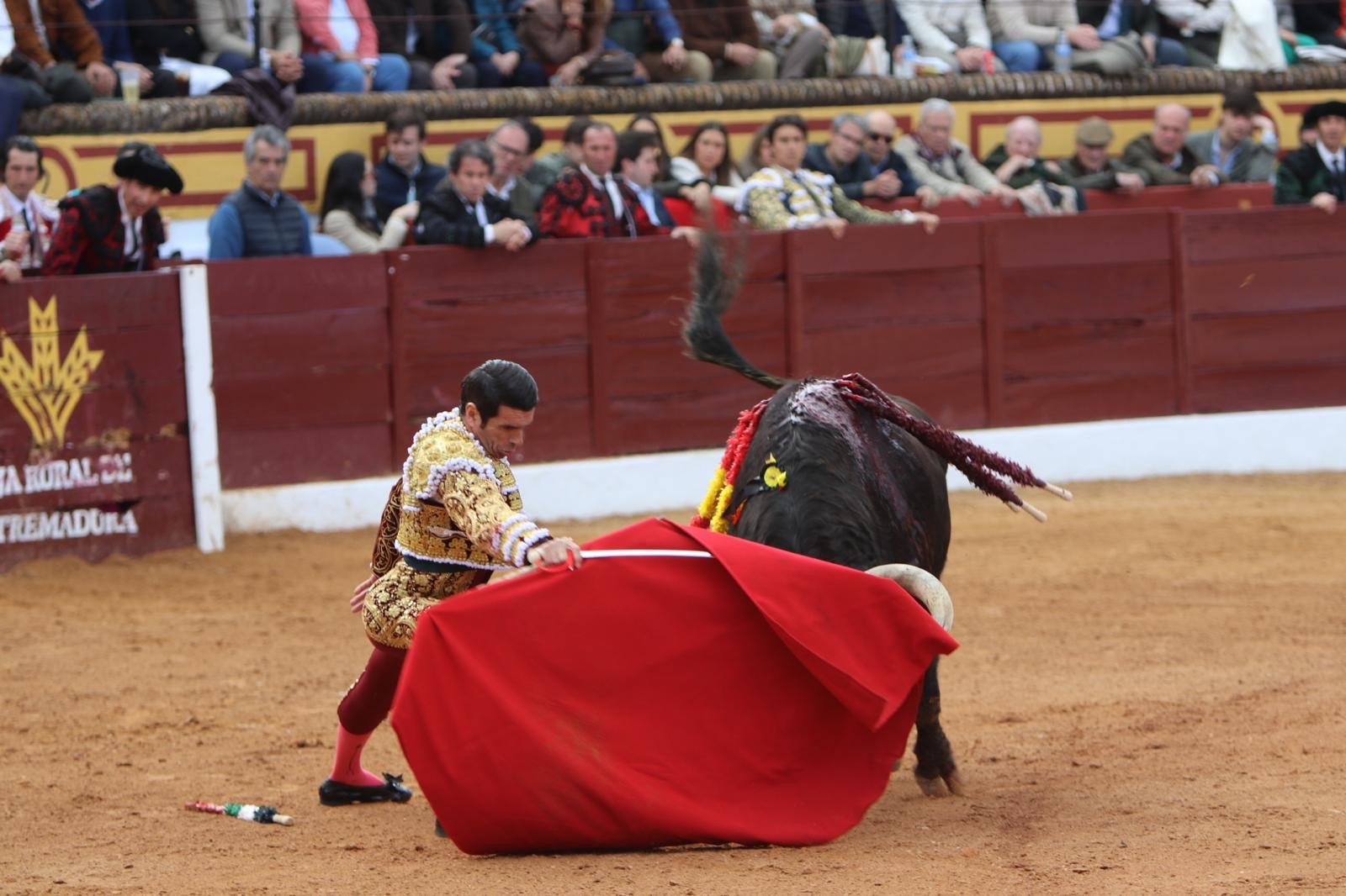 956f49fe 870c 4e71 a26f cf8ce24a0961 1