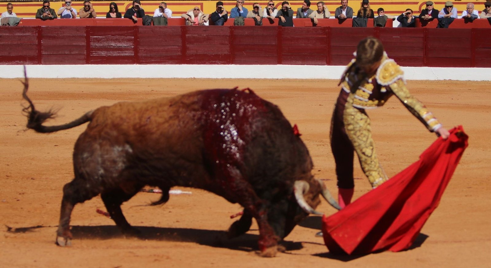 9a2cc735 e516 4d5d b079 bf0b3d76a426