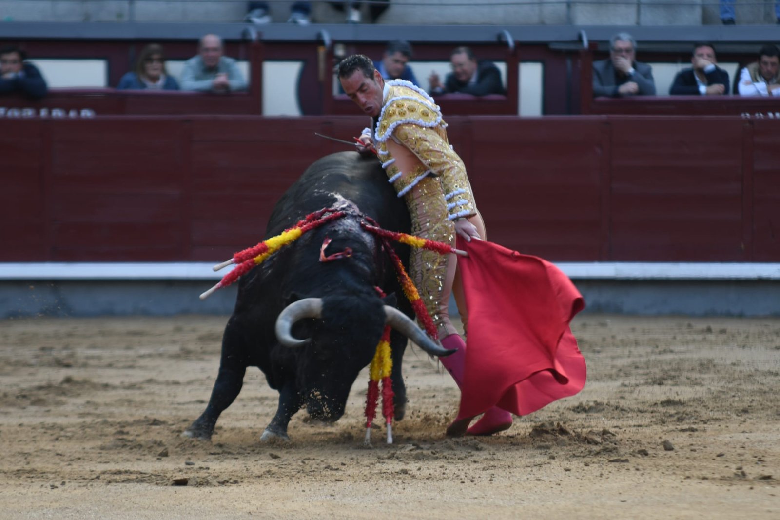 WhatsApp Image 2026 03 22 at 22.02.38