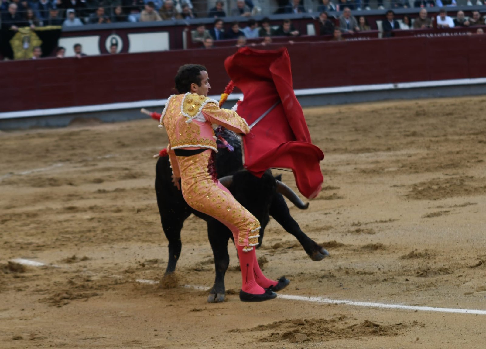 WhatsApp Image 2026 03 22 at 22.02.39 1