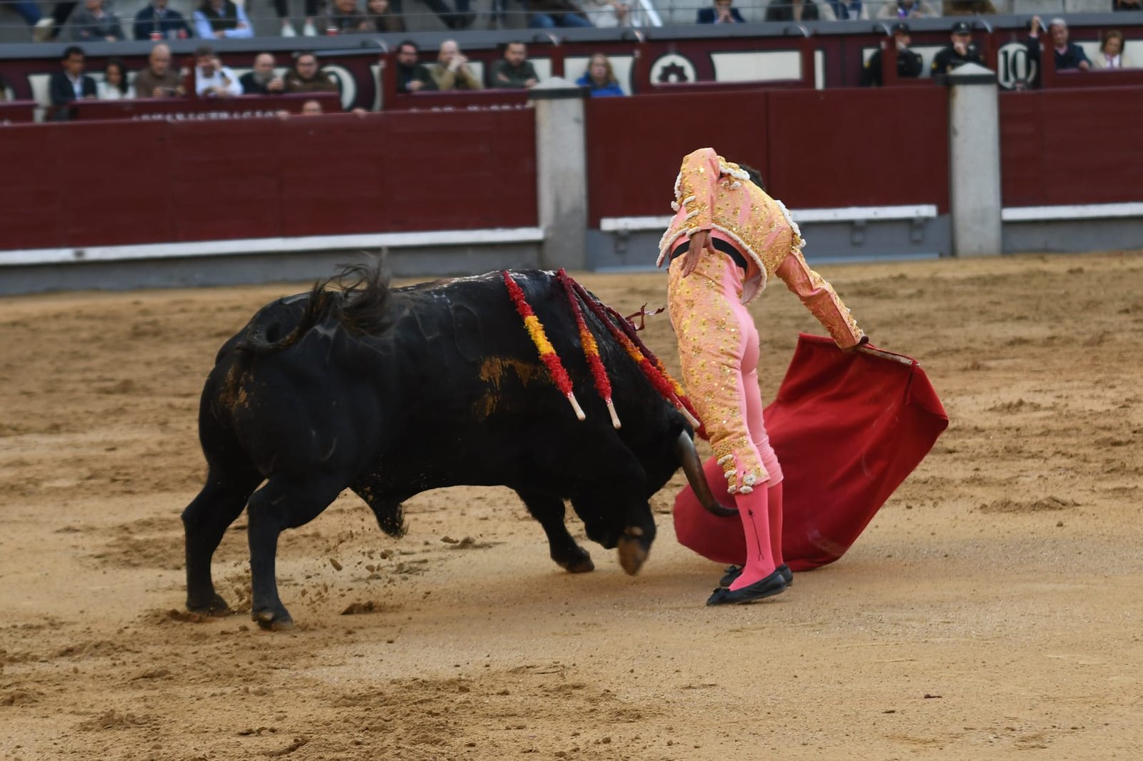 WhatsApp Image 2026 03 22 at 22.02.39 2