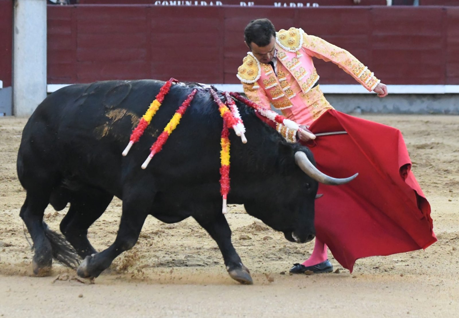 WhatsApp Image 2026 03 22 at 22.02.39