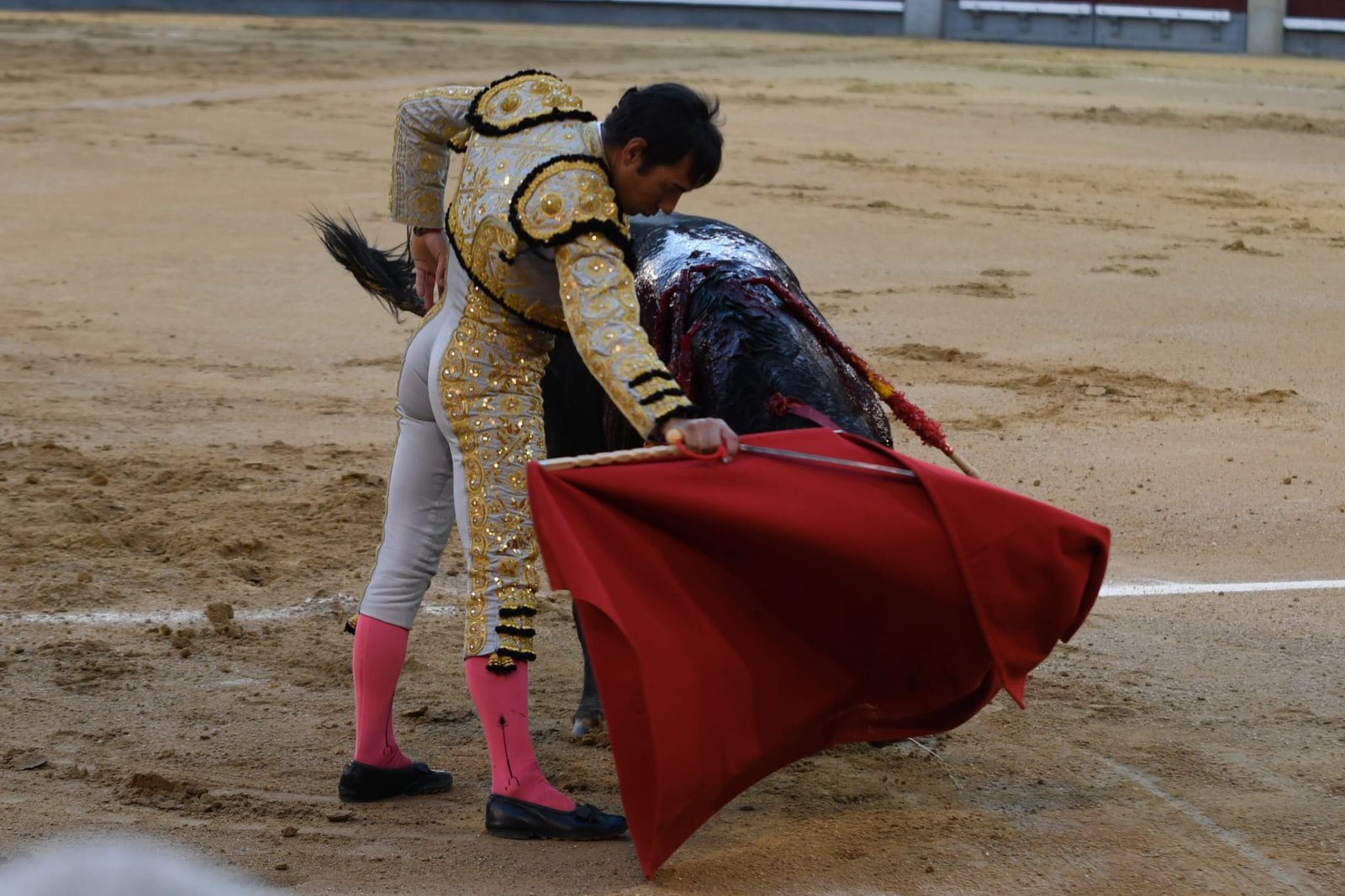 WhatsApp Image 2026 03 22 at 22.02.42