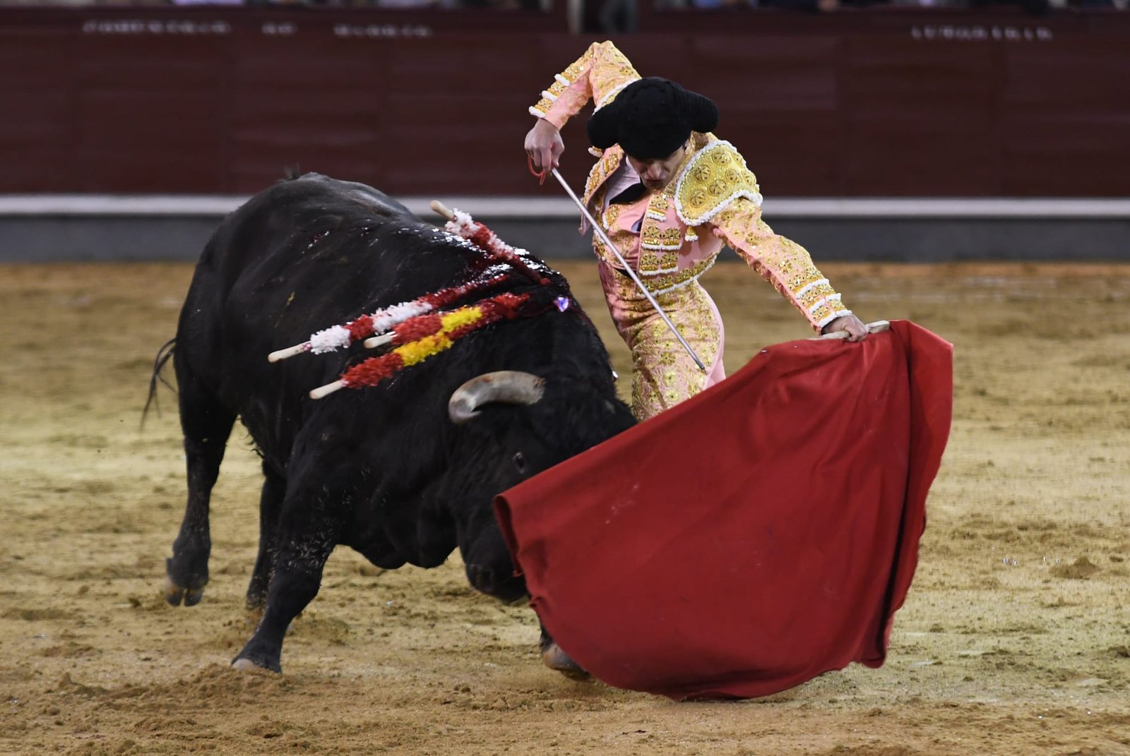 WhatsApp Image 2026 03 22 at 22.02.43 1