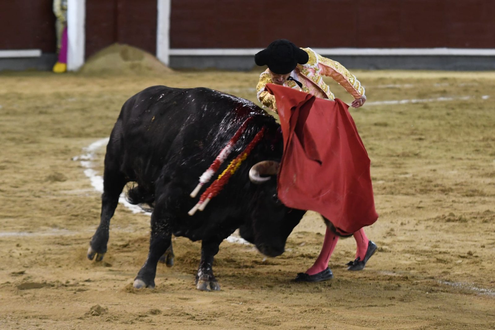 WhatsApp Image 2026 03 22 at 22.02.44