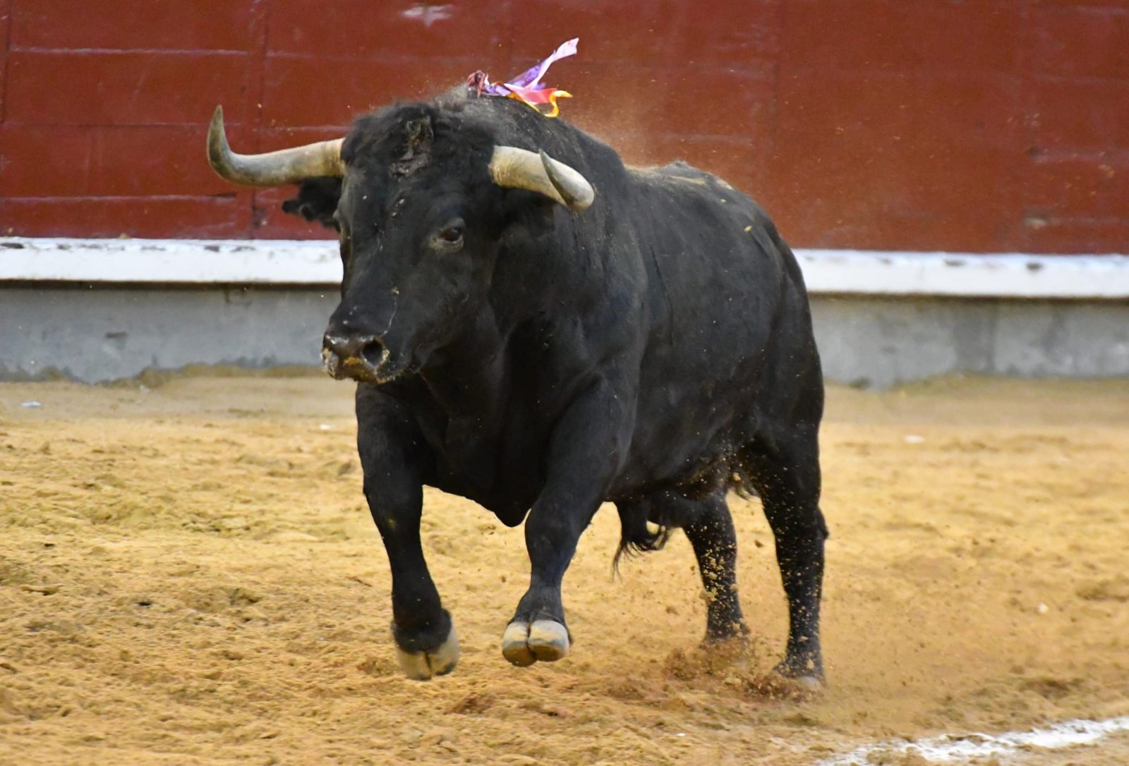 WhatsApp Image 2026 03 22 at 22.02.45