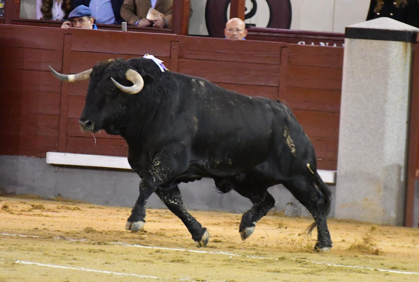 WhatsApp Image 2026 03 22 at 22.02.46