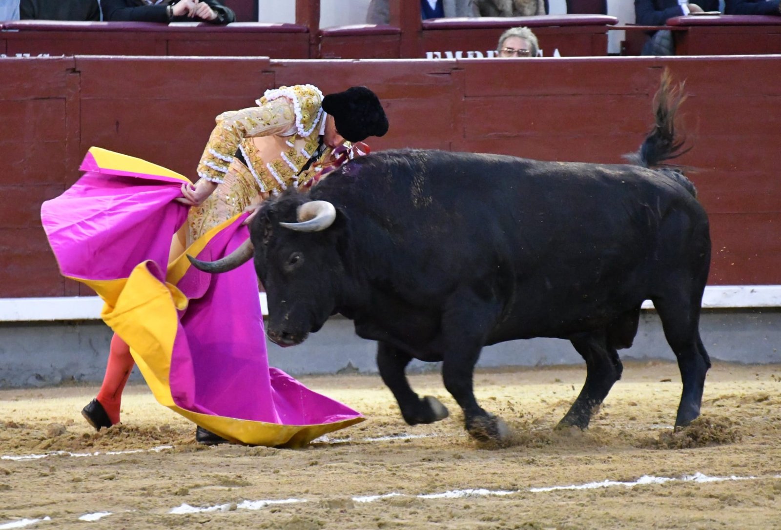 WhatsApp Image 2026 03 22 at 22.02.47 1